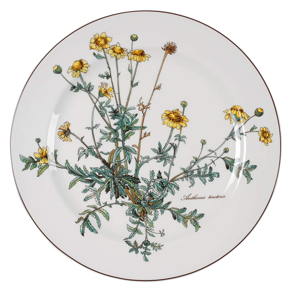 Botanica Dinner Plate by Villeroy & Boch-1
