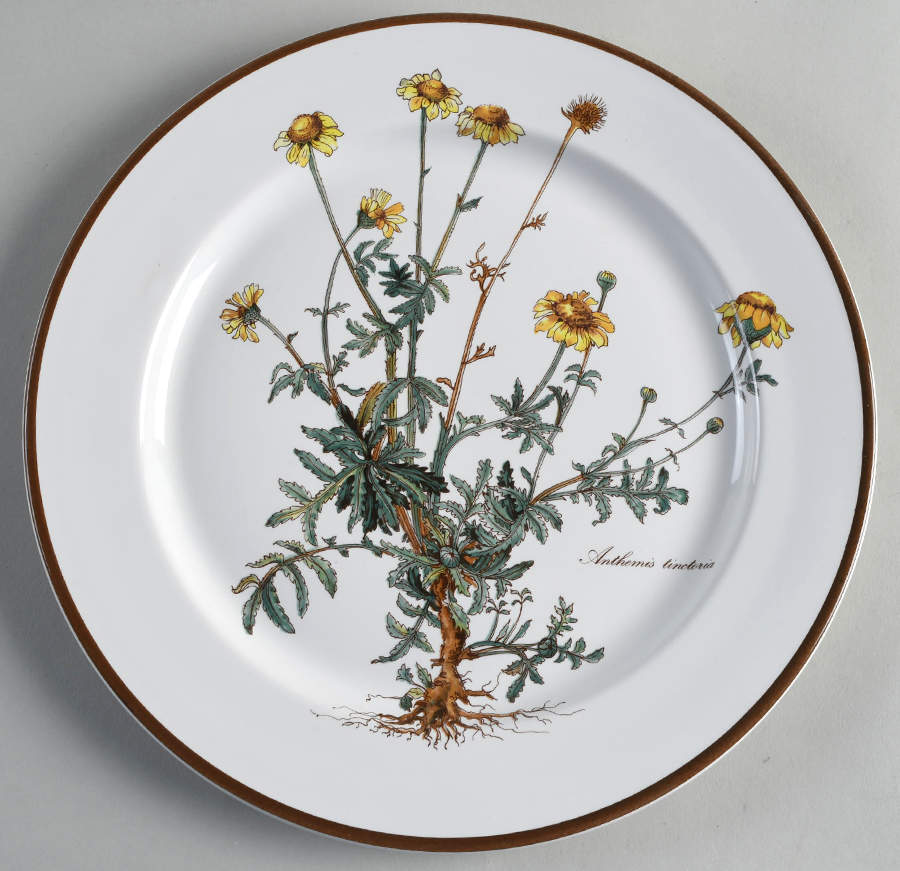 Botanica Dinner Plate by Villeroy & Boch-1
