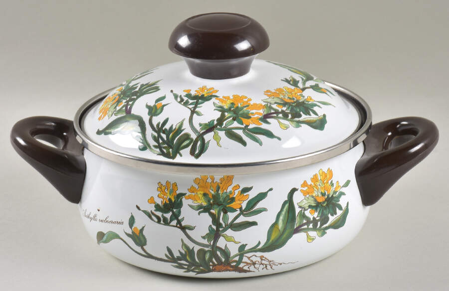 Botanica 1.25 Quart Metal Covered Casserole by Villeroy & Boch-1