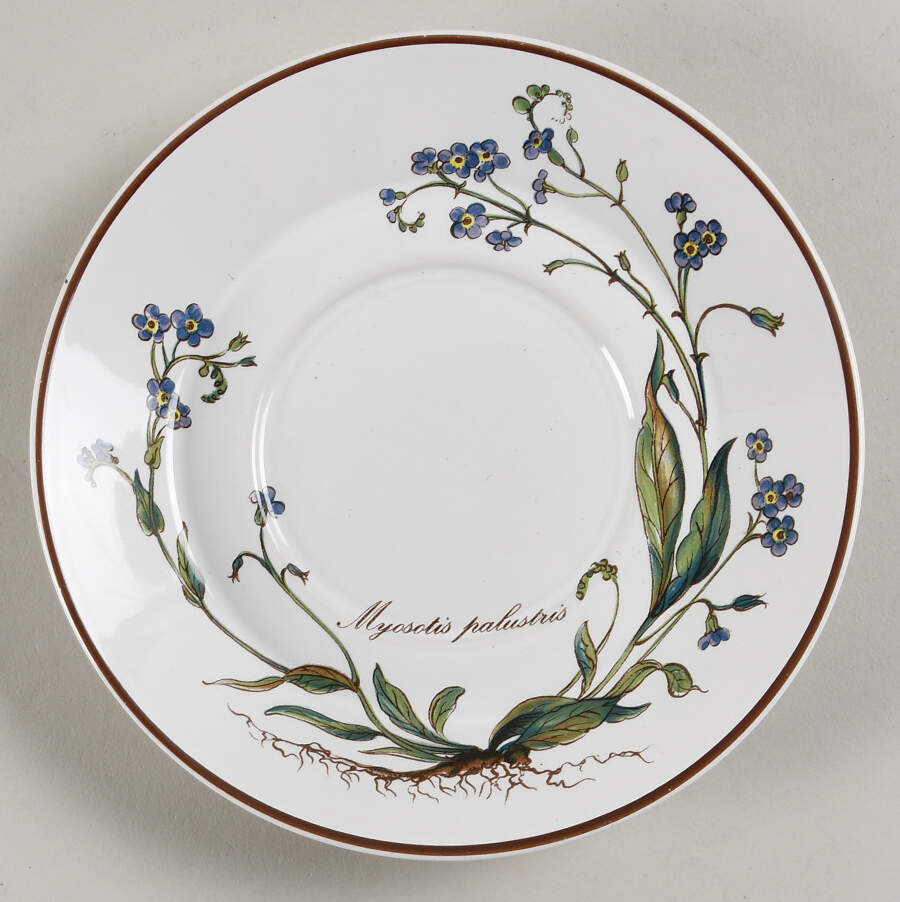 Botanica Saucer for Flat Demitasse Cup by Villeroy & Boch-1