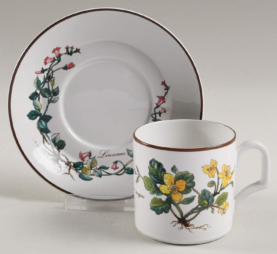 Botanica Flat Demitasse Cup & Saucer Set by Villeroy & Boch-1