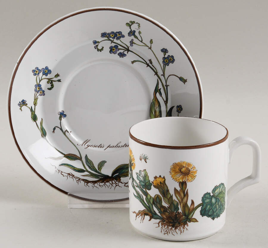 Botanica Flat Demitasse Cup & Saucer Set by Villeroy & Boch-1