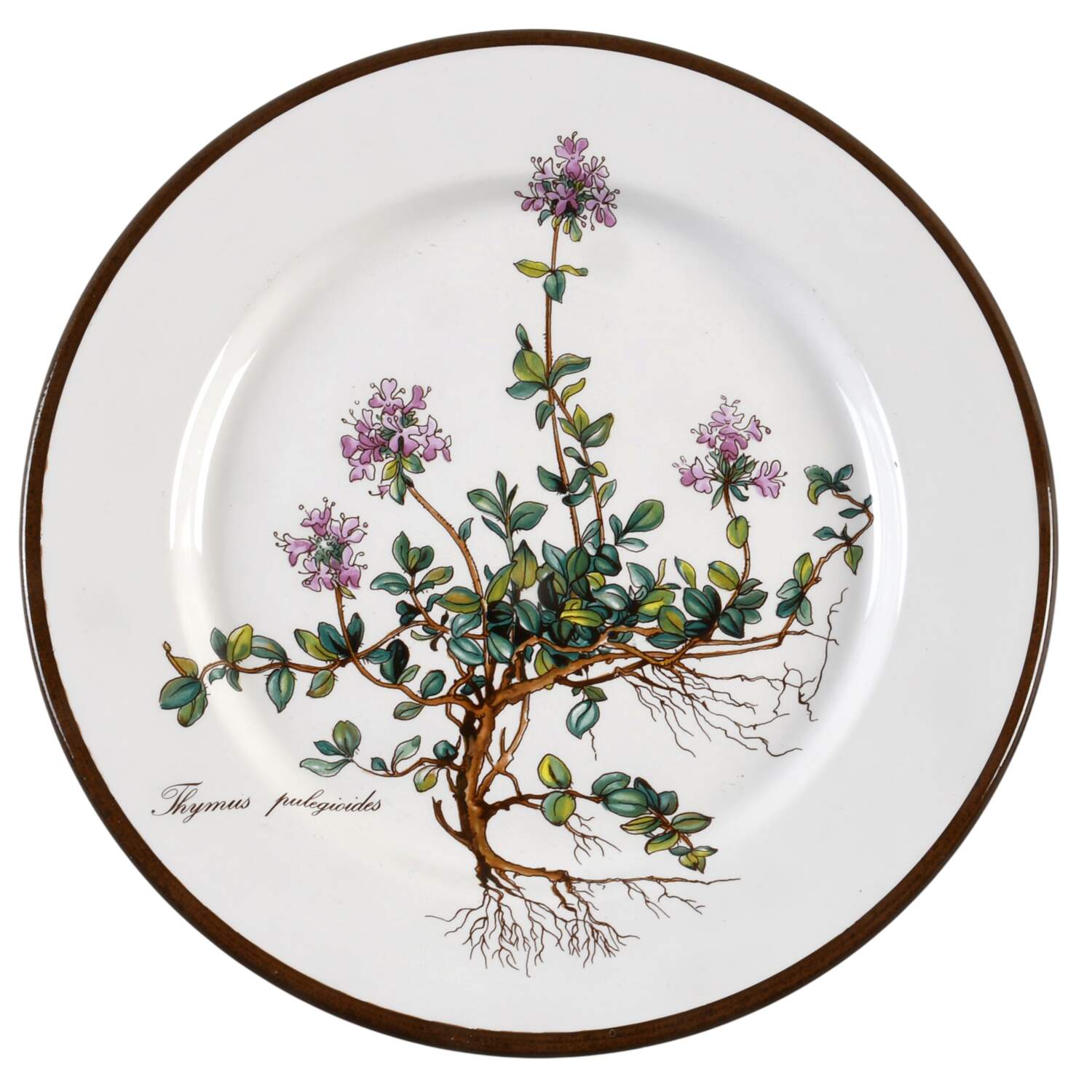 Botanica Salad Plate by Villeroy & Boch-1