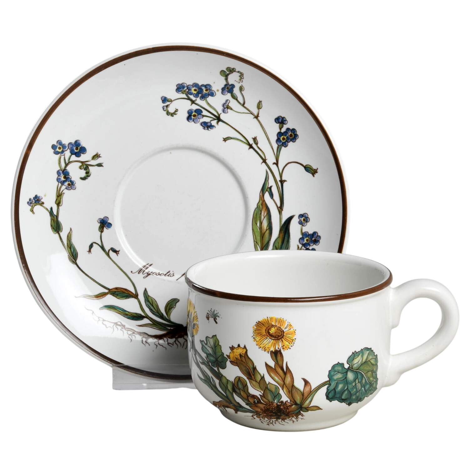 Botanica Flat Cup & Saucer Set by Villeroy & Boch-1