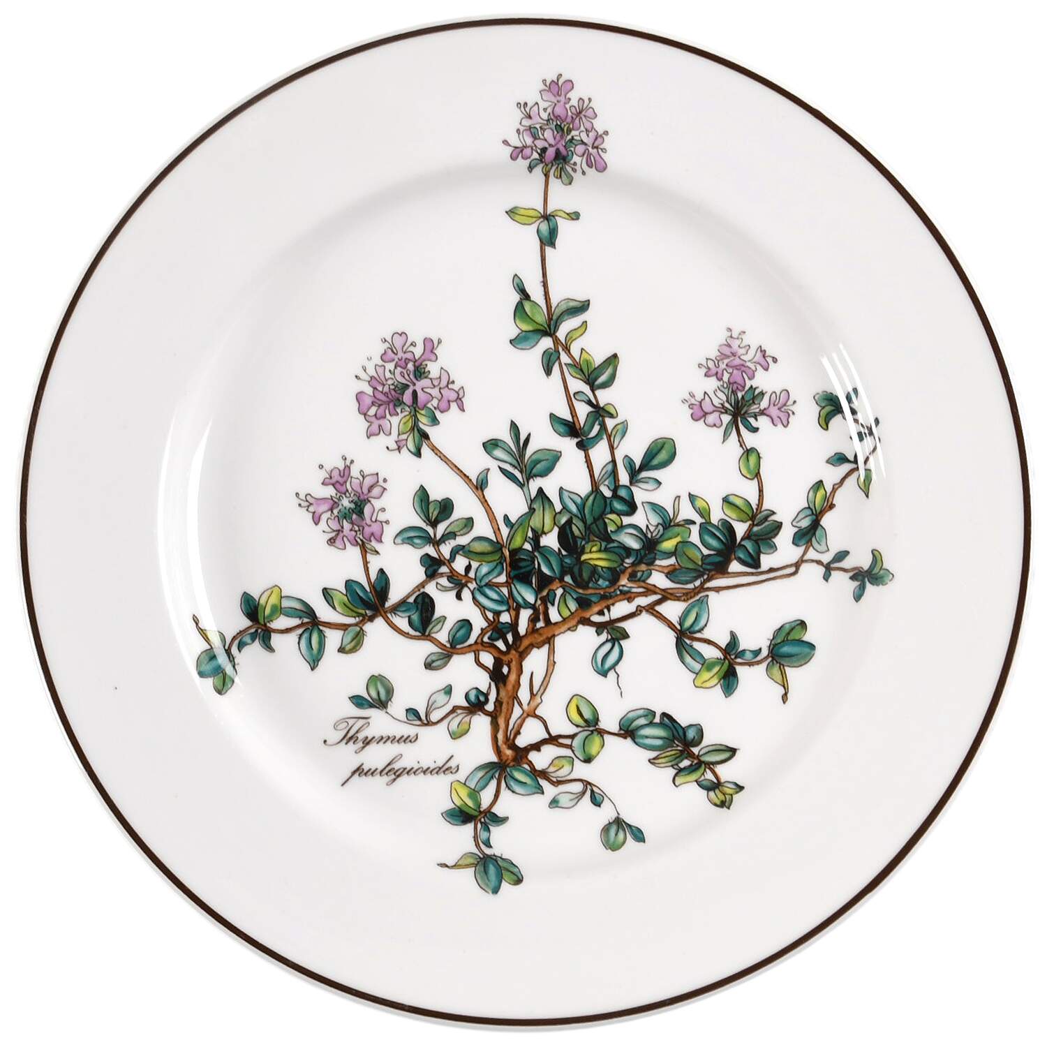 Botanica Salad Plate by Villeroy & Boch-1