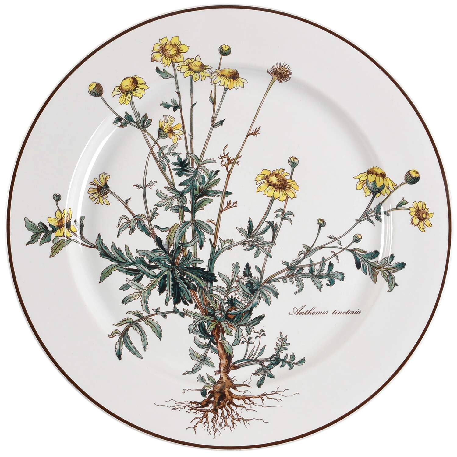 Botanica Dinner Plate by Villeroy & Boch-1