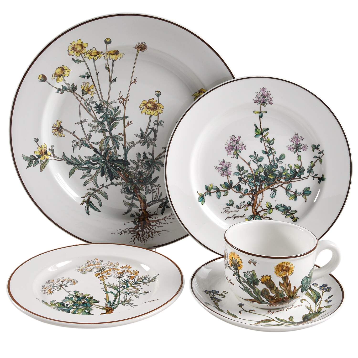 Botanica 40  Piece Estate Set by Villeroy & Boch-1