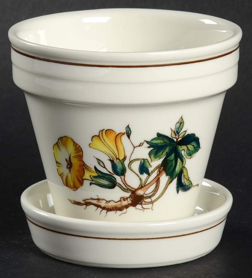 Botanica 2" Flower Pot & Underplate by Villeroy & Boch-1