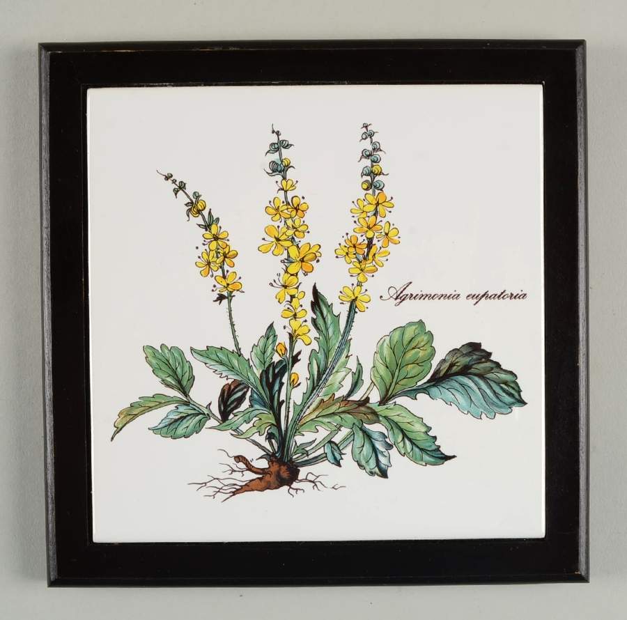Botanica Wood Frame Trivet by Villeroy & Boch-1