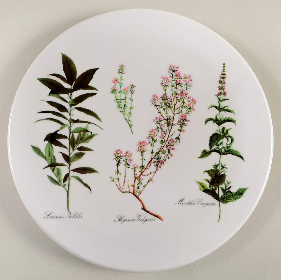 Botanica Melamine/Melmac Trivet by Villeroy & Boch-1