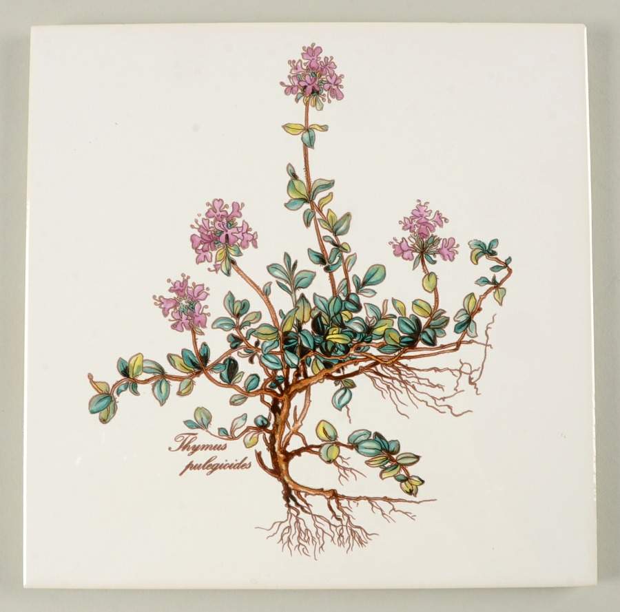 Botanica Trivet by Villeroy & Boch-1