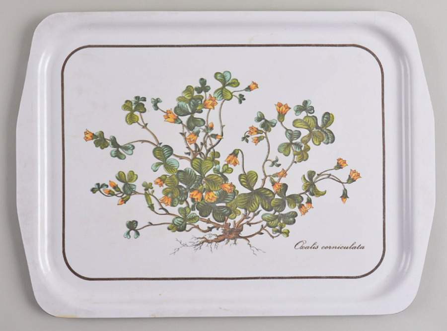 Botanica 19" Plastic Serving Tray by Villeroy & Boch-1