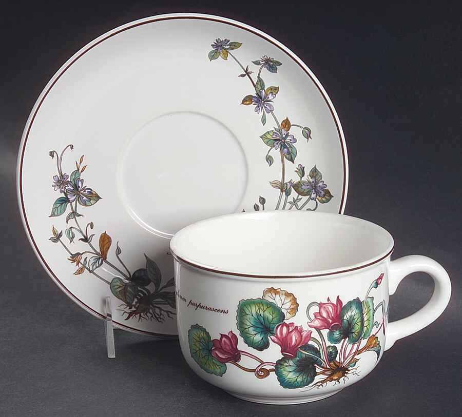 Botanica Jumbo Cup & Saucer Set by Villeroy & Boch-1