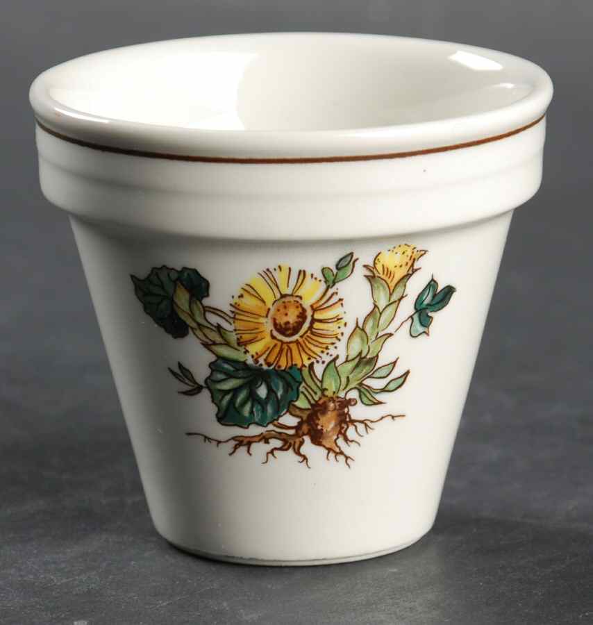 Botanica 2" Flower Pot No Underplate by Villeroy & Boch-1