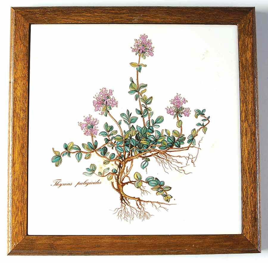 Botanica Wood Frame Trivet by Villeroy & Boch-1