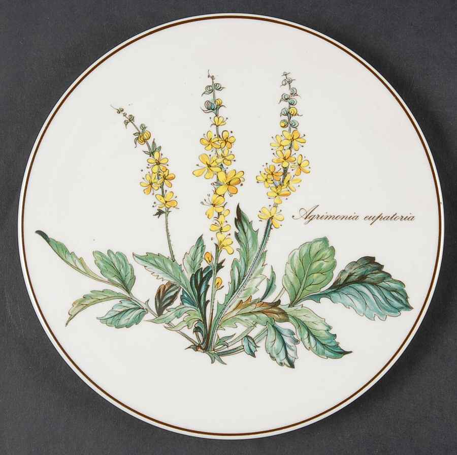 Botanica Tea Tile by Villeroy & Boch-1