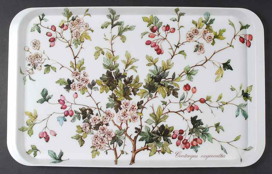 Botanica 18" Plastic Serving Tray by Villeroy & Boch-1