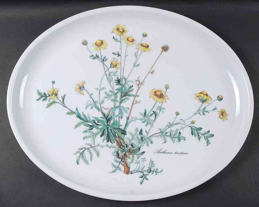 Botanica Plastic Oval Serving Tray by Villeroy & Boch-1