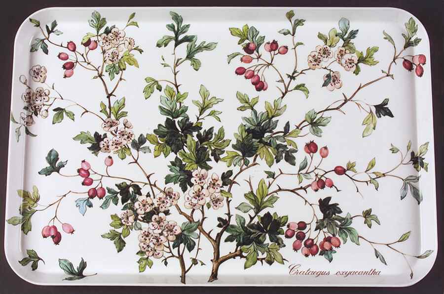 Botanica Plastic Serving Tray 17" by Villeroy & Boch-1