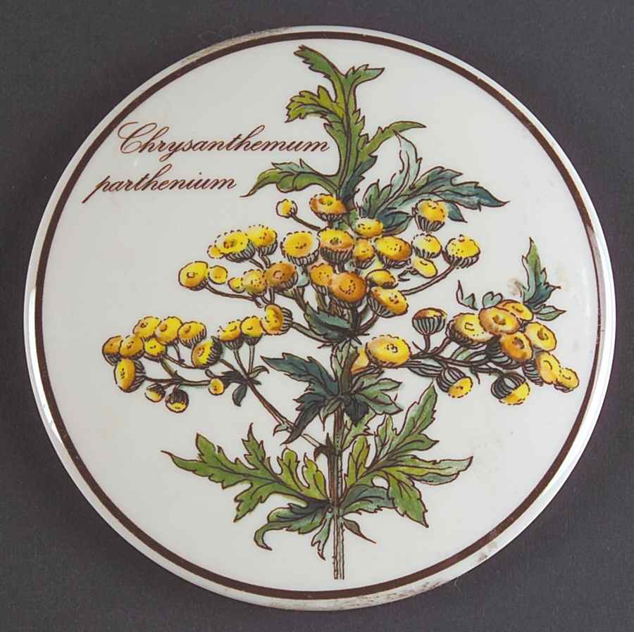 Botanica Lid for 4" Candy Box by Villeroy & Boch-1