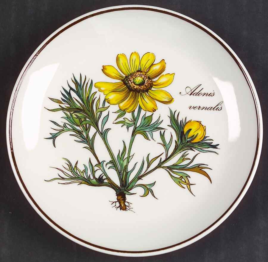 Botanica Coaster by Villeroy & Boch-1