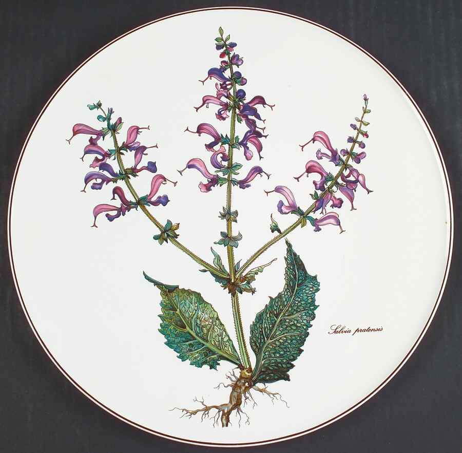 Botanica Cake Plate by Villeroy & Boch-1