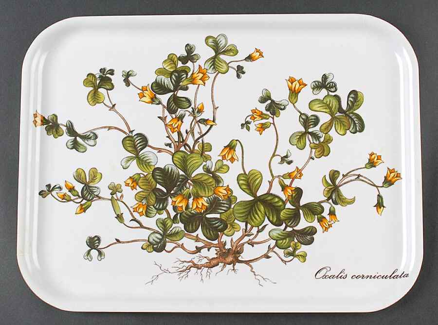 Botanica Plastic Serving Tray 13" by Villeroy & Boch-1