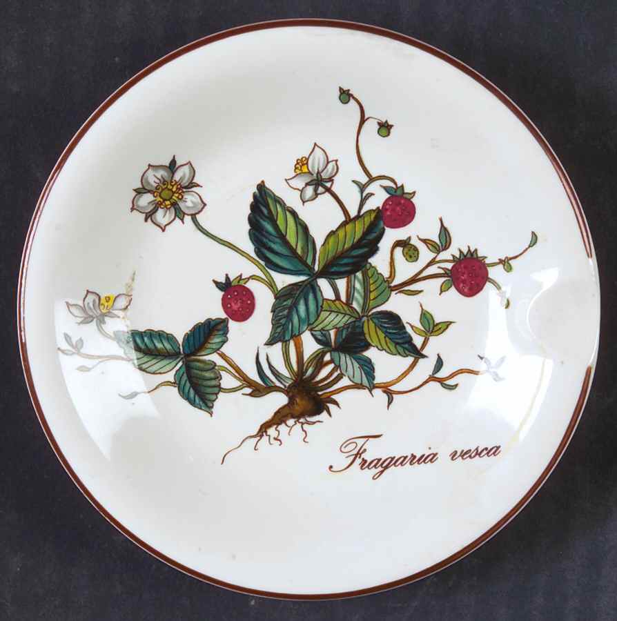 Botanica Small Ashtray by Villeroy & Boch-1