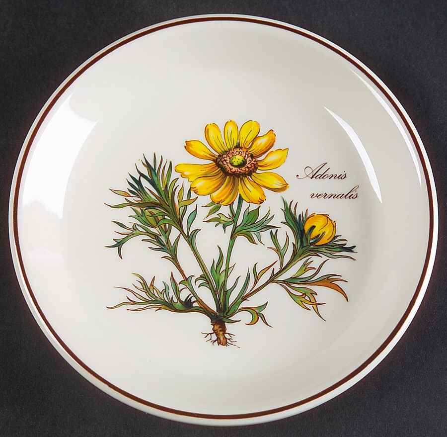 Botanica Wine Bottle Coaster by Villeroy & Boch-1