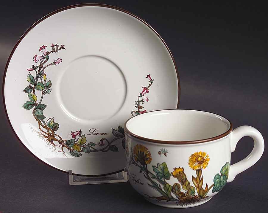 Botanica Flat Cup & Saucer Set by Villeroy & Boch-1