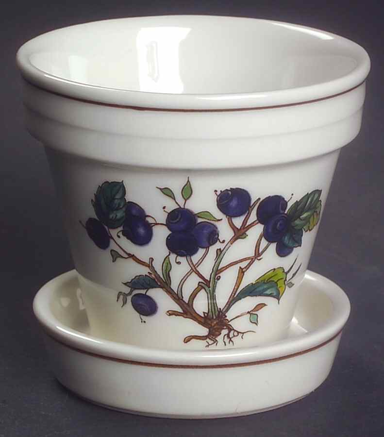 Botanica 2" Flower Pot & Underplate by Villeroy & Boch-1