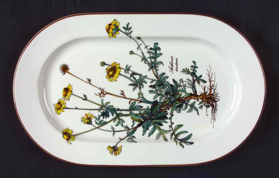 Botanica 13" Oval Serving Platter by Villeroy & Boch-1