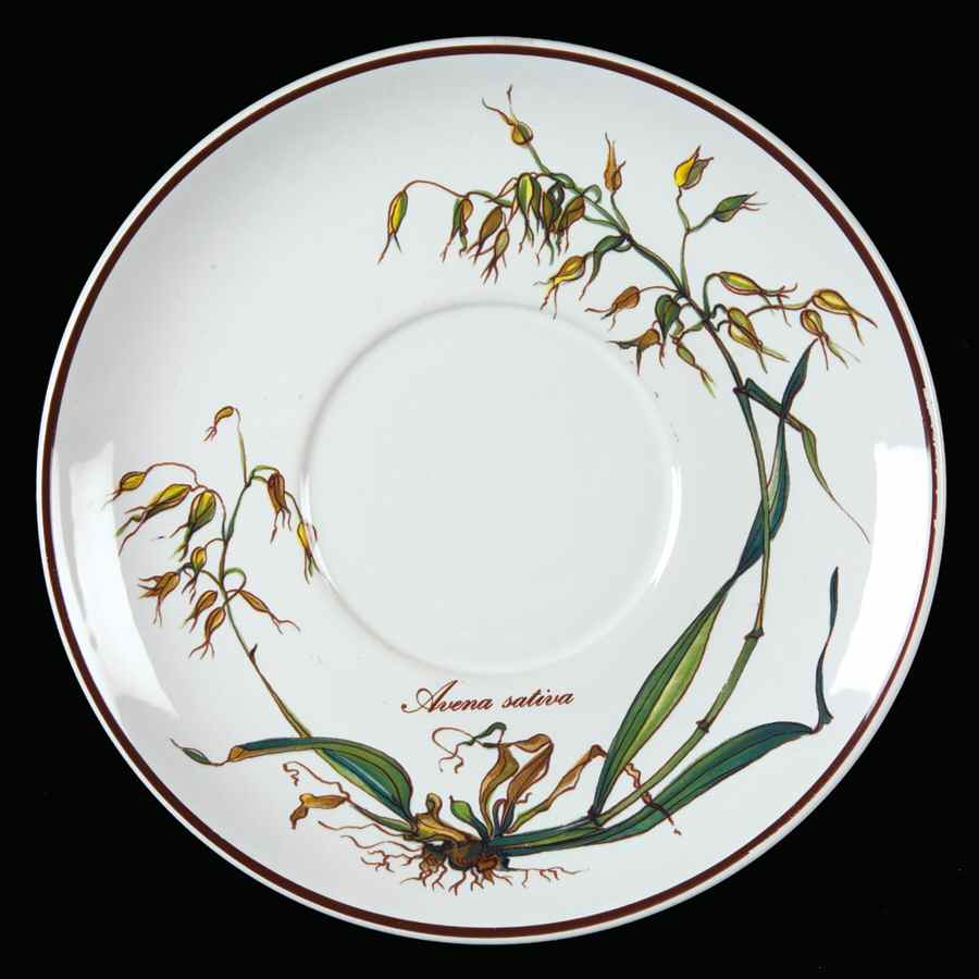 Botanica Underplate for Gravy Boat by Villeroy & Boch-1