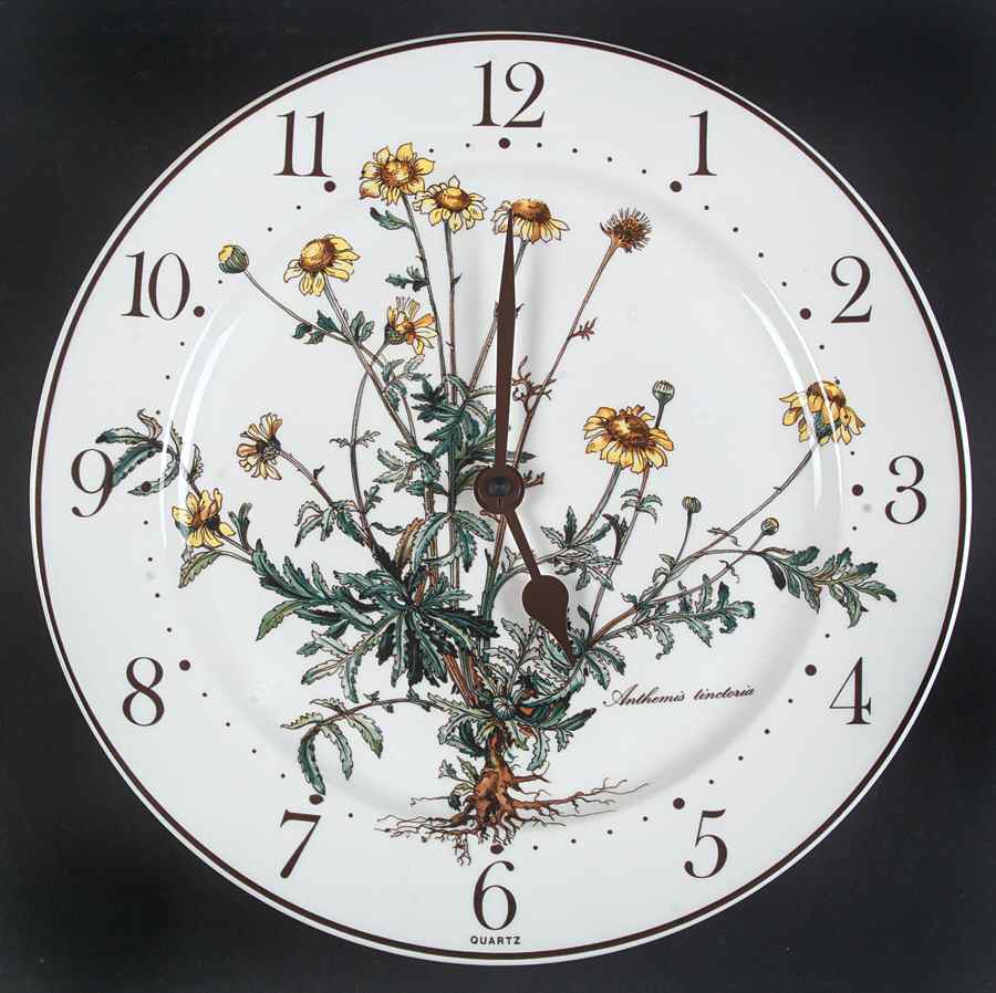Botanica Clock Plate by Villeroy & Boch-1