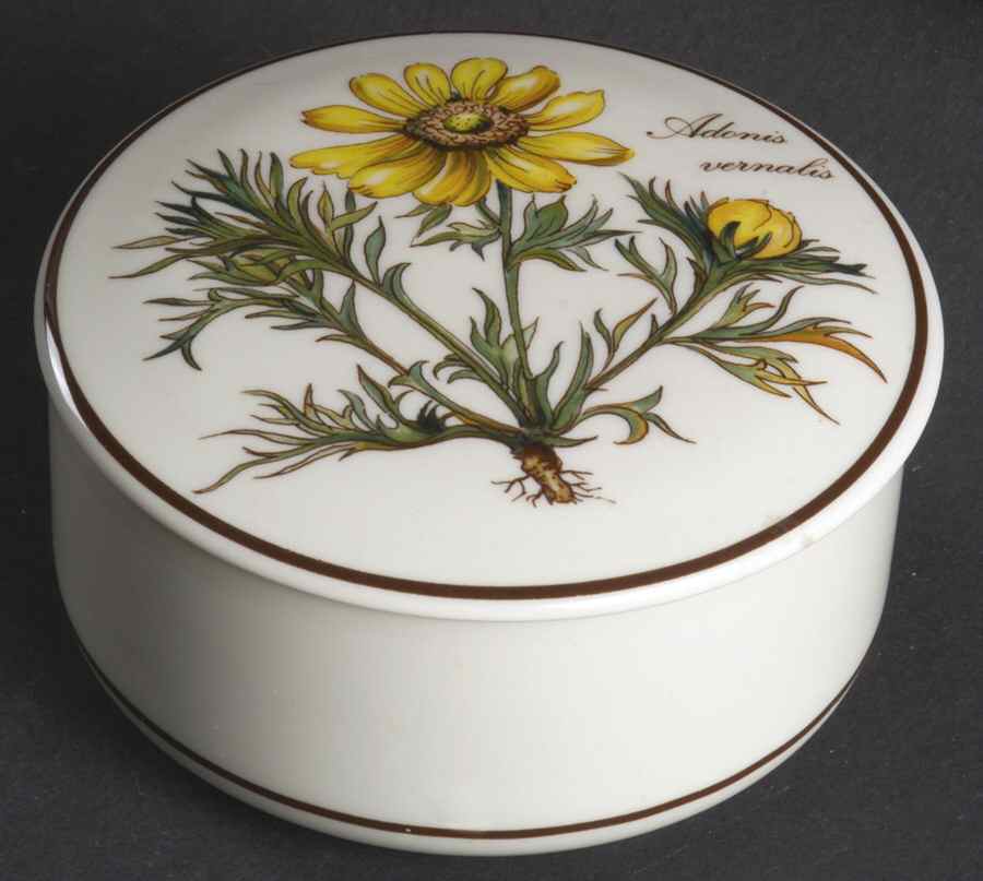 Botanica 4" Candy Box & Lid by Villeroy & Boch-1