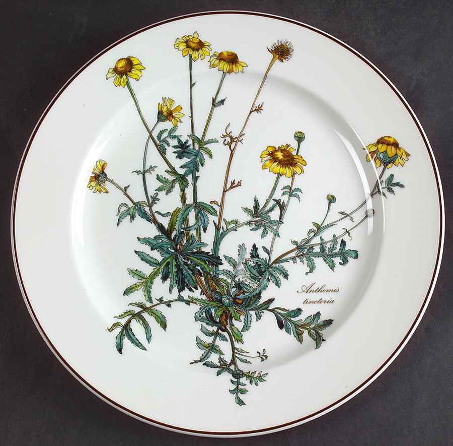 Botanica Luncheon Plate by Villeroy & Boch-1