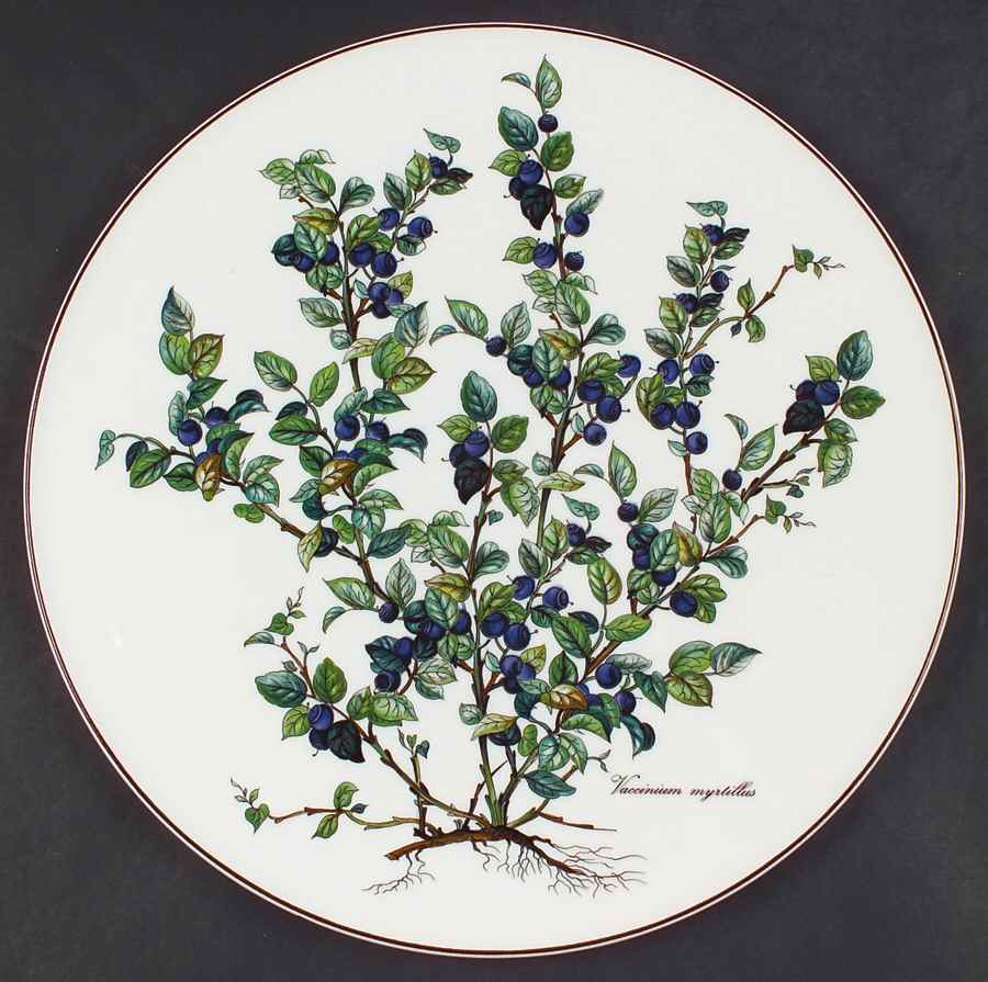 Botanica Cake Plate by Villeroy & Boch-1