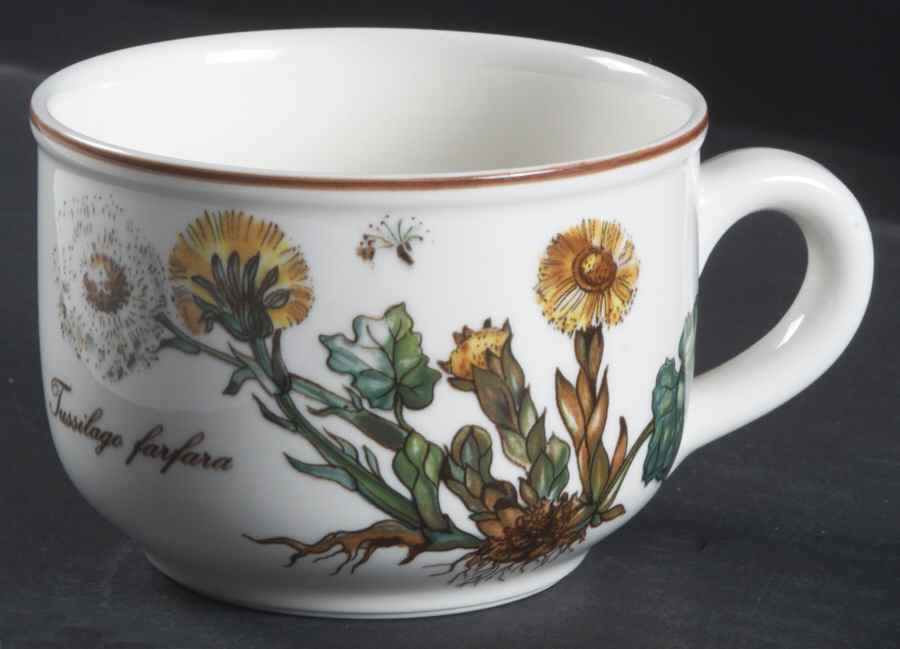 Botanica Flat Cup by Villeroy & Boch-1