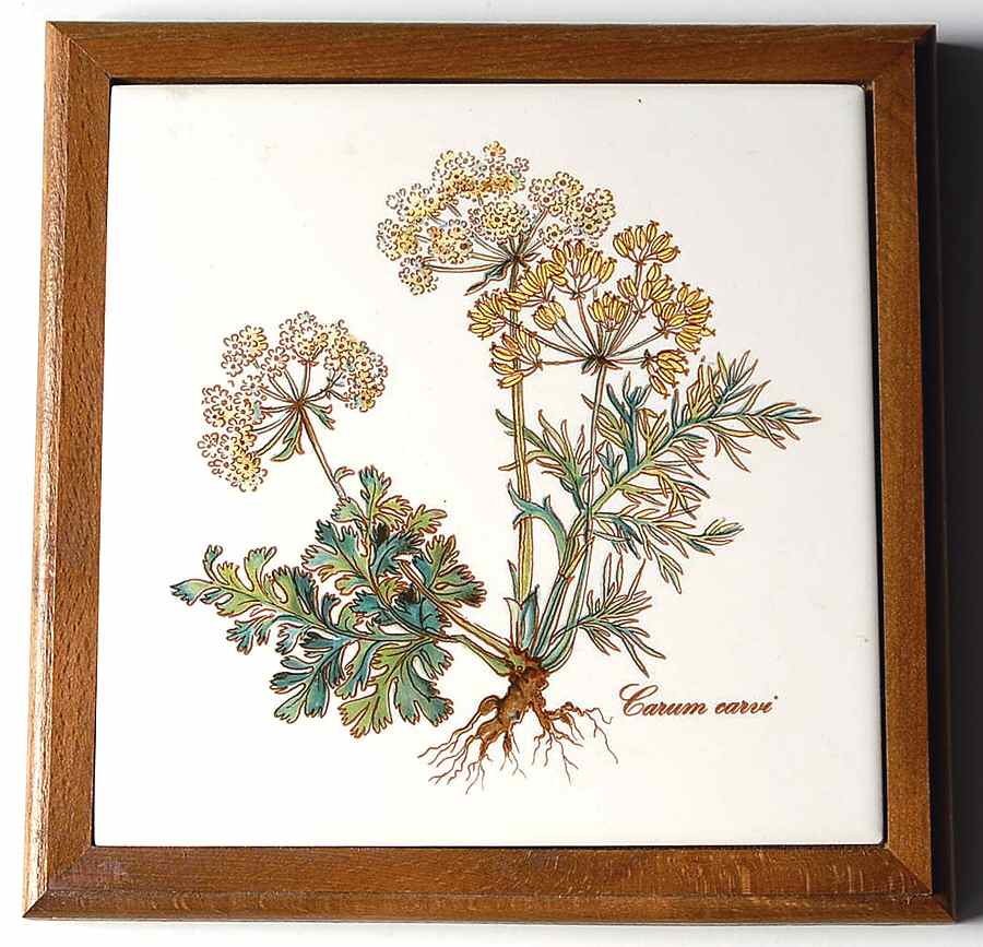 Botanica Wood Frame Trivet by Villeroy & Boch-1
