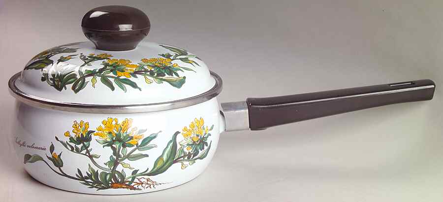 Botanica 1.5 Quart Metal Covered Saucepan by Villeroy & Boch-1