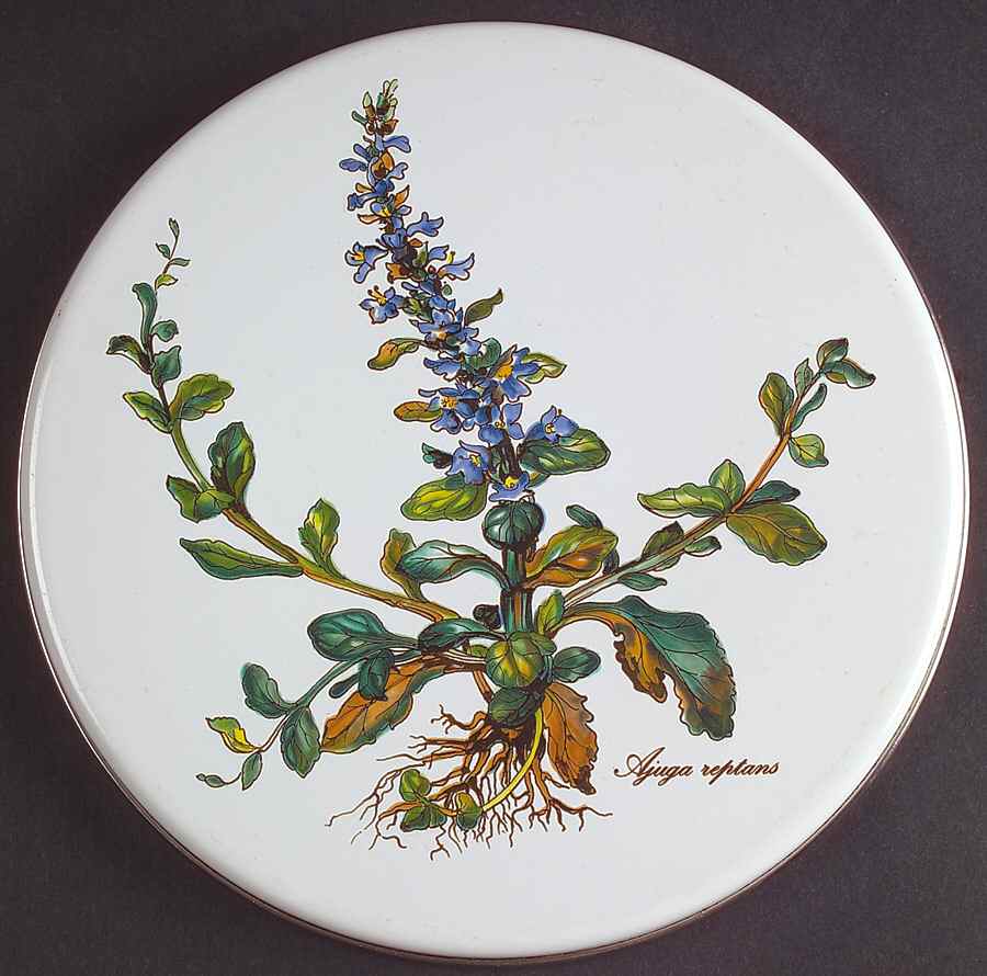 Botanica 8" Steel Individual Stove Cover by Villeroy & Boch-1