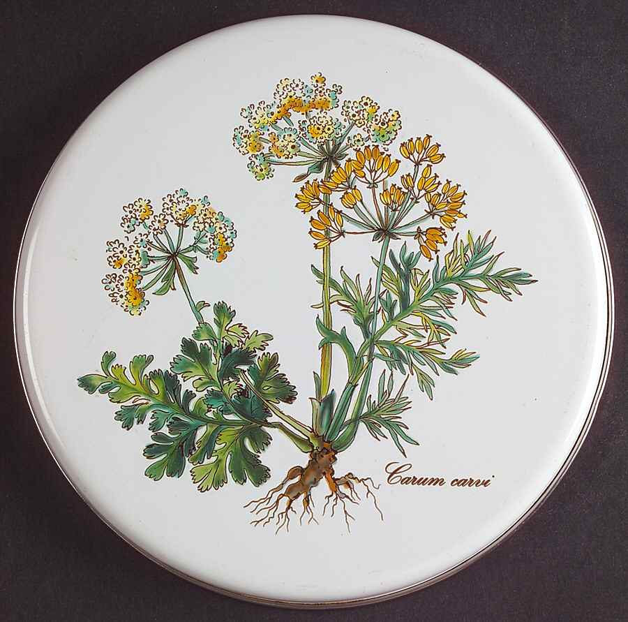 Botanica 6" Steel Individual Stove Cover by Villeroy & Boch-1