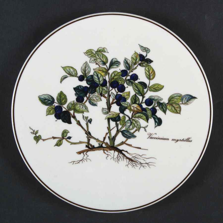 Botanica Tea Tile by Villeroy & Boch-1