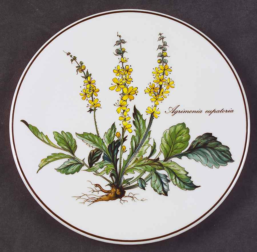 Botanica Tea Tile by Villeroy & Boch-1