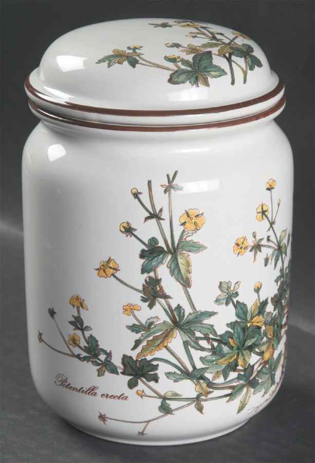 Botanica 5" Storage Jar & Lid by Villeroy & Boch-1