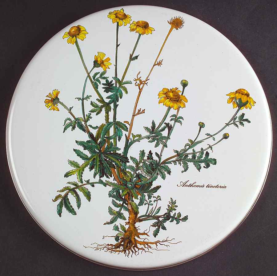 Botanica 9" Individual Steel Stover Cover by Villeroy & Boch-1