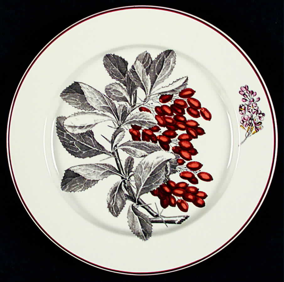 Como Salad Plate by Villeroy & Boch-1