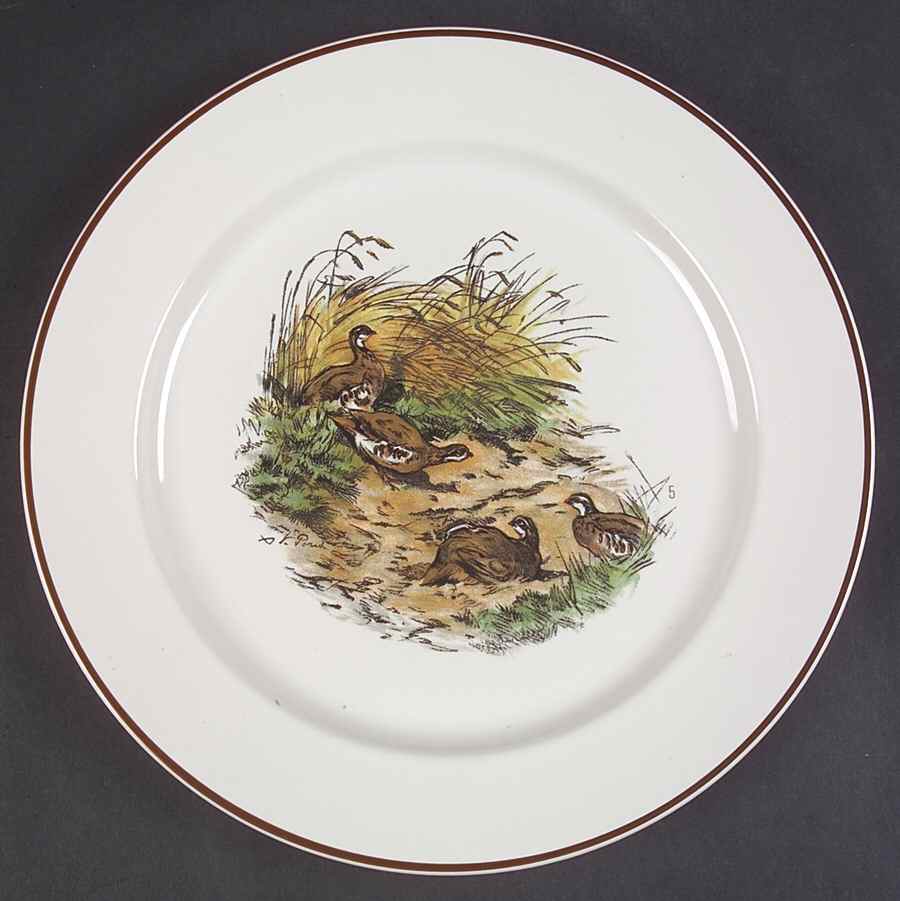 Fontainebleau (No Border, Brown Trim) Dinner Plate by Villeroy & Boch-1