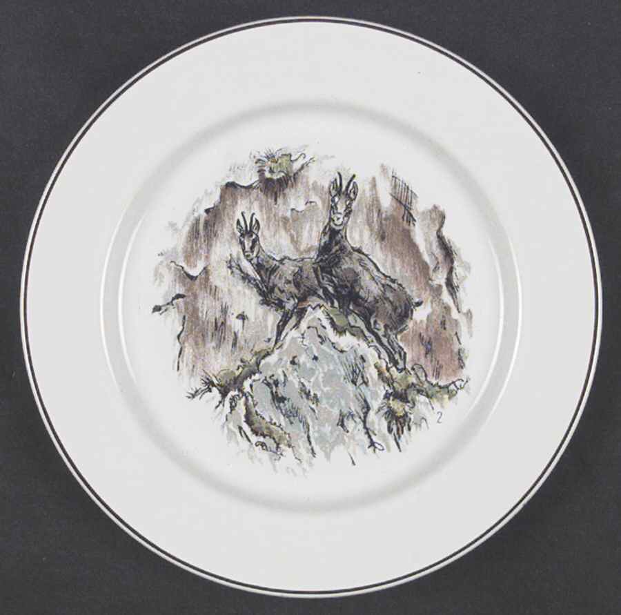 Fontainebleau (No Border, Brown Trim) Salad Plate by Villeroy & Boch-1