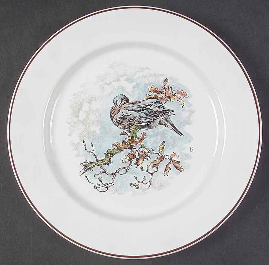 Fontainebleau (No Border, Brown Trim) Salad Plate by Villeroy & Boch-1